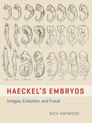 cover image of Haeckel's Embryos